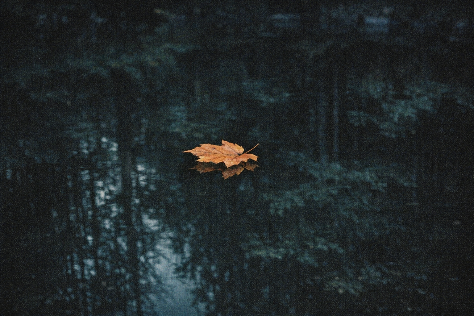 Scorpio: Why the Most Feared Sign Is Actually the Most Misunderstood